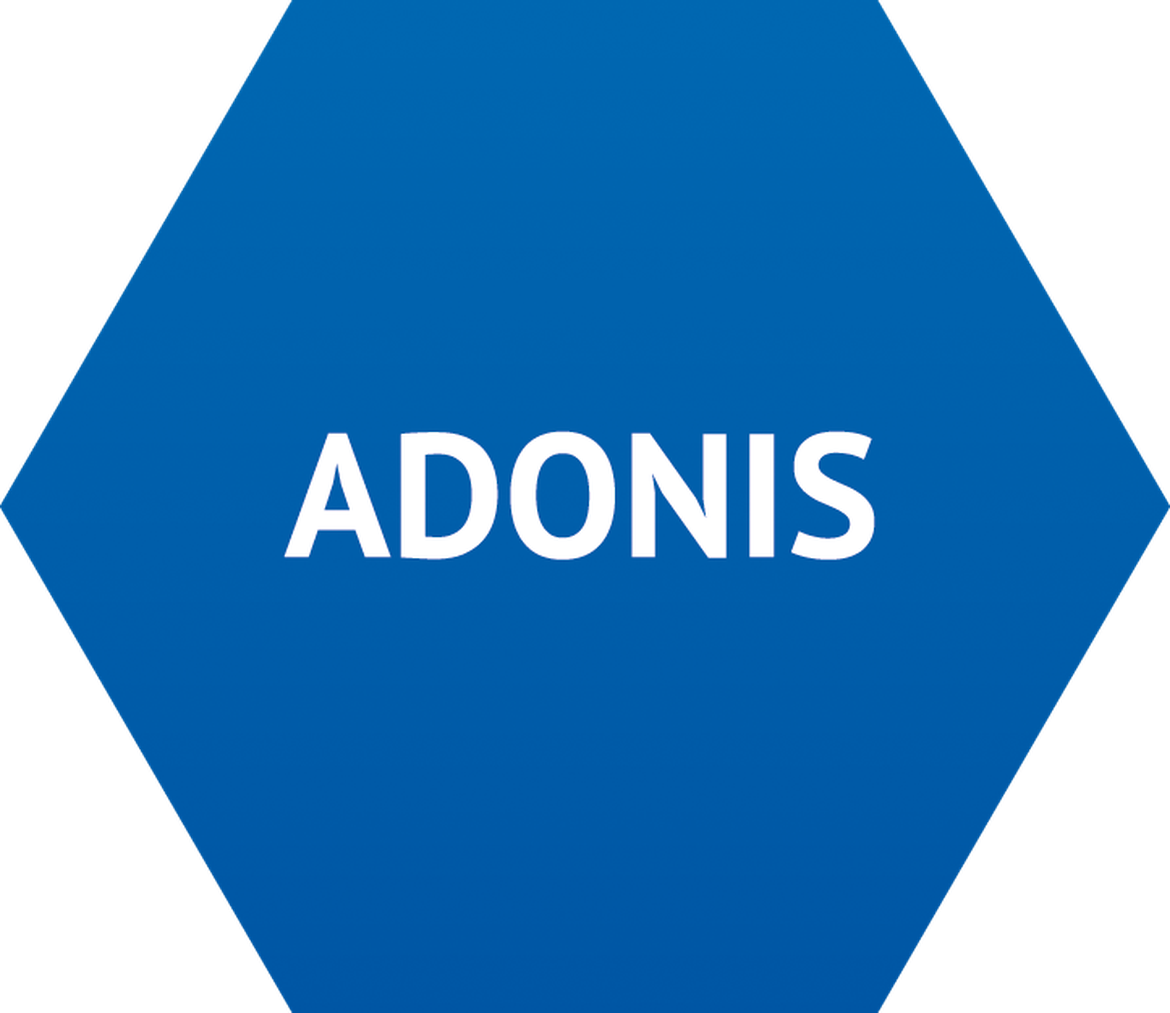 ADONIS Interfaces para la gestión del cambio y puesta en marcha de procesos